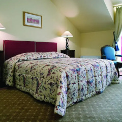 Stikliai Hotel 5* Президентский люкс с различными типами кроватей фото 2