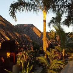 Отель Village Temanuata Французская Полинезия, Бора-Бора - отзывы, цены и фото номеров - забронировать отель Village Temanuata онлайн фото 28