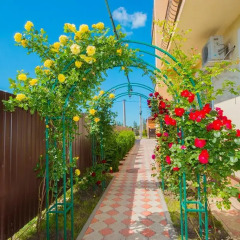 Гостиница Penaty Guest house в Анапе отзывы, цены и фото номеров - забронировать гостиницу Penaty Guest house онлайн Анапа фото 2