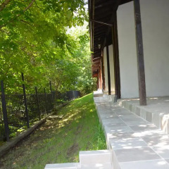 Отель Complex Manastirski Chiflik Болгария, Свиштов - отзывы, цены и фото номеров - забронировать отель Complex Manastirski Chiflik онлайн балкон
