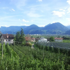 Отель Oberschoeberlehof Меран фото 3