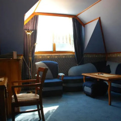 Hotel Restaurant Odeon 3* Люкс с различными типами кроватей фото 12