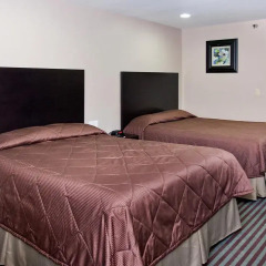 Отель Floral Inn 2* Стандартный номер
