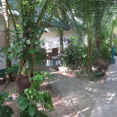 Отель Lanta Island Resort 3* Бунгало с различными типами кроватей фото 12