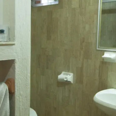 Hotel Arboledas Expo ванная