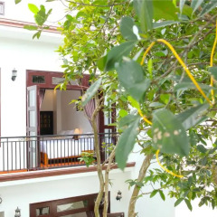 Отель Blue Lake Homestay 3* Номер Делюкс с различными типами кроватей фото 5