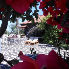 Отель Izukogen Onsen J Garden Ито развлечения