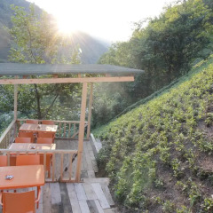 Manzara Butik Otel Бунгало с различными типами кроватей фото 3
