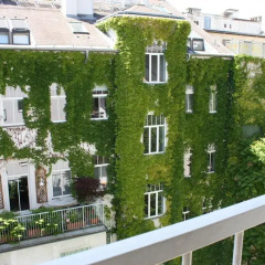 Апартаменты CheckVienna - Apartment Rentals Vienna Студия с различными типами кроватей фото 9