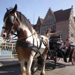 Отель Ghent River Hotel Бельгия, Гент - отзывы, цены и фото номеров - забронировать отель Ghent River Hotel онлайн спортивное сооружение