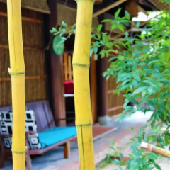 Отель Under the coconut tree Бунгало с различными типами кроватей фото 14