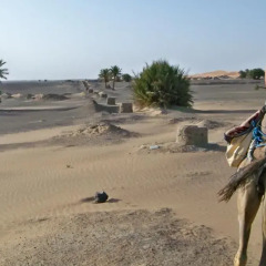 Отель Kasbah Tamariste Марокко, Мерзуга - отзывы, цены и фото номеров - забронировать отель Kasbah Tamariste онлайн пляж фото 2