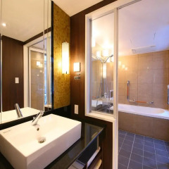 APA Hotel Ginza-Kyobashi 3* Номер Делюкс с различными типами кроватей фото 10
