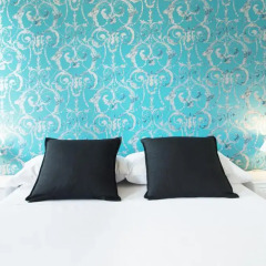 Отель Fira Guest House бассейн