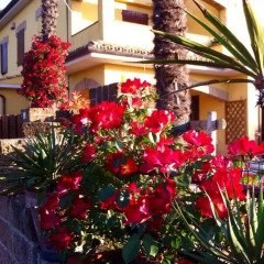 Отель Bed and Breakfast Isa Лорето фото 4