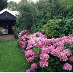 Отель B&B Hoofddorp Нидерланды, Хофддорп - отзывы, цены и фото номеров - забронировать отель B&B Hoofddorp онлайн