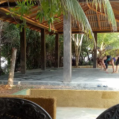 Отель Mangrove Villa Шри-Ланка, Бентота - отзывы, цены и фото номеров - забронировать отель Mangrove Villa онлайн фитнесс-зал