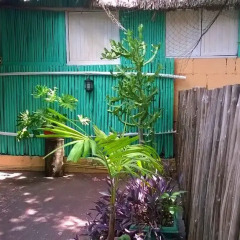 Отель Maya Cha'an Guesthouse Мексика, Канкун - отзывы, цены и фото номеров - забронировать отель Maya Cha'an Guesthouse онлайн фото 2