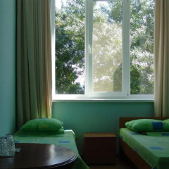 Гостиница Amaliya Стандартный номер разные типы кроватей фото 3