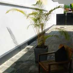 Отель "27" Spathodea- Oasis in the City Шри-Ланка, Коломбо - отзывы, цены и фото номеров - забронировать отель "27" Spathodea- Oasis in the City онлайн комната для гостей фото 5