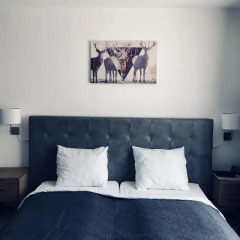 Hotel De Fierlant 3* Стандартный номер с различными типами кроватей фото 5