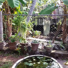 Отель Suresh Home stay фото 8