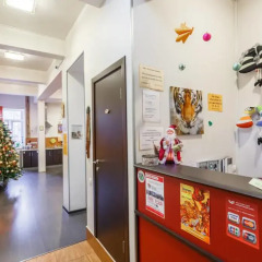 Сафари Хостел Кровать в женском общем номере с двухъярусными кроватями фото 12