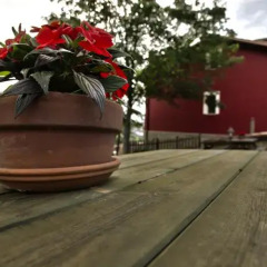 Отель Apartamentos Rurales El Picoretu Испания, Кангас-де-Онис - отзывы, цены и фото номеров - забронировать отель Apartamentos Rurales El Picoretu онлайн фото 8
