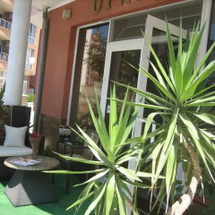 Отель Guest House Orchidea Болгария, Поморие - отзывы, цены и фото номеров - забронировать отель Guest House Orchidea онлайн фото 2
