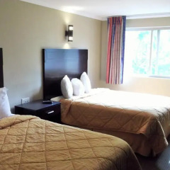 Отель Downtown Value Inn Стандартный номер с различными типами кроватей