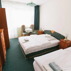 Отель Willa Albatros 2* Стандартный номер с различными типами кроватей фото 10