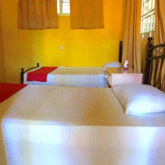 Reggae Hostel Ocho Rios Номер категории Эконом с различными типами кроватей фото 5