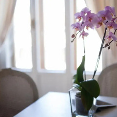 Апартаменты Kometa Suites & Apartments Люкс с различными типами кроватей фото 15