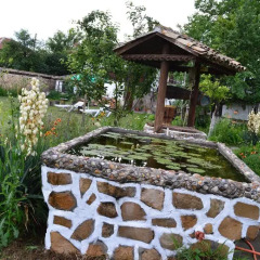 Отель The Old House Guest House Болгария, Арбанаси - отзывы, цены и фото номеров - забронировать отель The Old House Guest House онлайн фото 7
