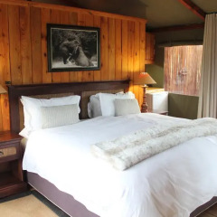Отель Addo Elephant Lodge & Safaris Улучшенный люкс с различными типами кроватей
