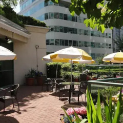 Отель Rosedale On Robson Suite Hotel Канада, Ванкувер - отзывы, цены и фото номеров - забронировать отель Rosedale On Robson Suite Hotel онлайн фото 18