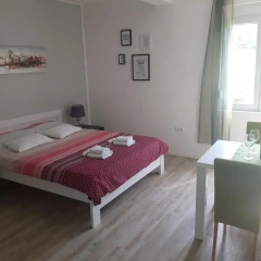 Апартаменты Apartment Grgurević Студия с различными типами кроватей фото 5