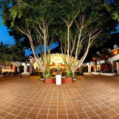 Отель Belcekiz Beach Club - All Inclusive гостиничный бар