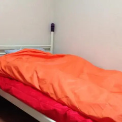 Отель Pinetree Guesthouse Сеул спа