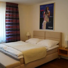 Hotel U 3 Pstrosu комната для гостей фото 5