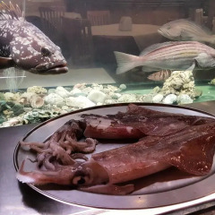 Отель Aragosta Дуррес спа