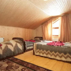 Гостиница Preluky Стандартный номер с различными типами кроватей фото 3