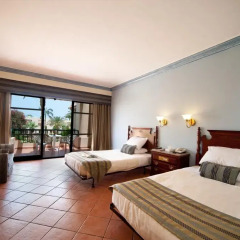 Отель Ali Baba Palace 4* Стандартный номер с различными типами кроватей фото 3