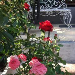 Sabye Club Hostel Бангкок фото 2