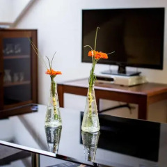 Отель Bona Serva 3* Стандартный номер с различными типами кроватей фото 6