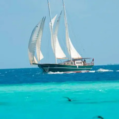 Dream Voyager Yacht in North Male Atoll, Maldives from 388$, photos, reviews - zenhotels.com beach