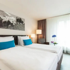 Ameron Luzern Hotel Flora 4* Номер Делюкс с двуспальной кроватью фото 3