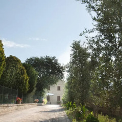 Отель Bed and breakfast Aratro & Rosmarino Чивитанова-Марке фото 7
