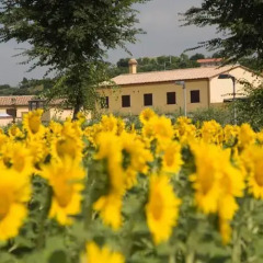 Le Fiabe Hotel Resort Нумана помещение для мероприятий