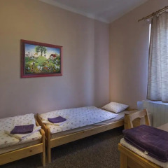 Отель Penzion U Staré Cesty 3* Люкс фото 7